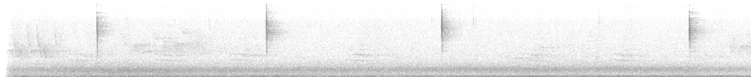 lesňáček černobílý - ML620028915