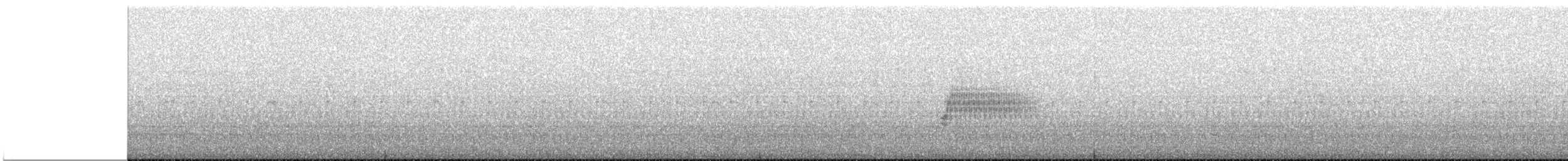 Тауї плямистий - ML620029216