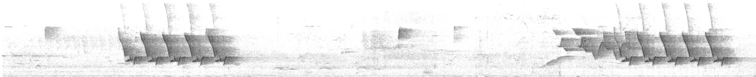 Поплітник каролінський - ML620029302