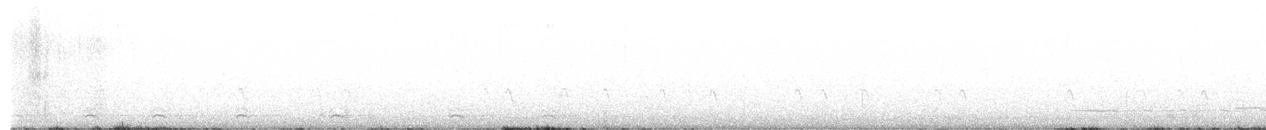 Шишкар ялиновий - ML620029488