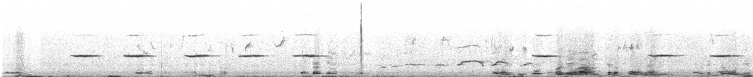 White-bellied Sholakili - ML620029783