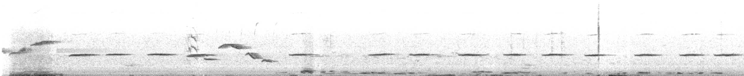 White-bellied Sholakili - ML620029784