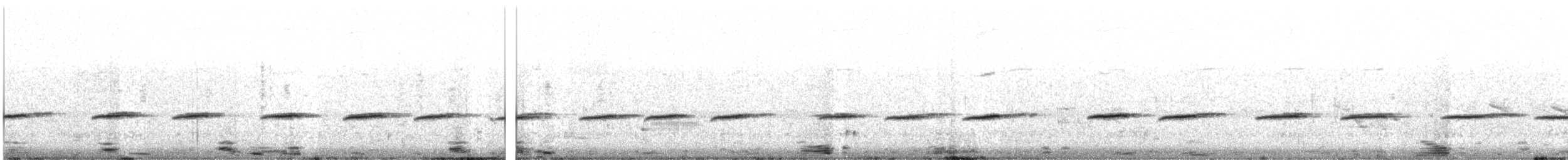 White-bellied Sholakili - ML620029785