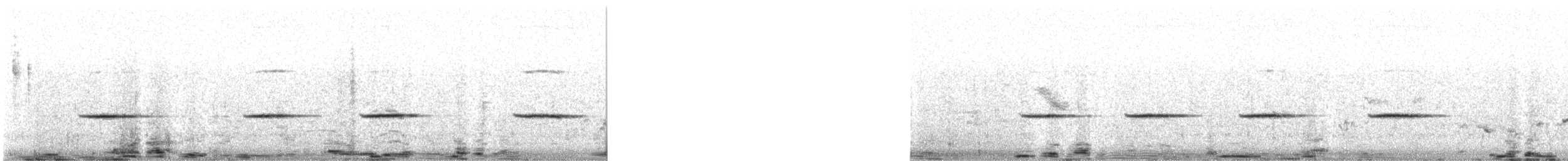 White-bellied Sholakili - ML620029786