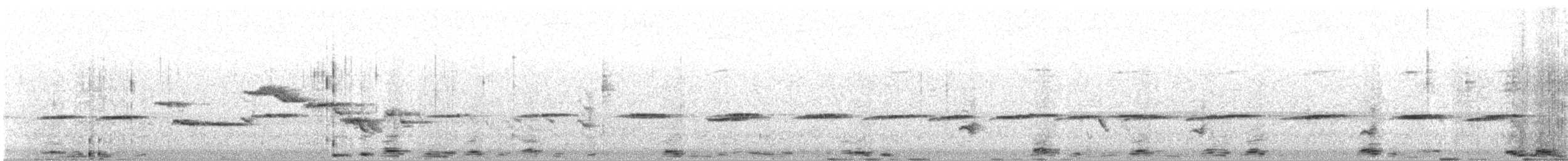 White-bellied Sholakili - ML620029787