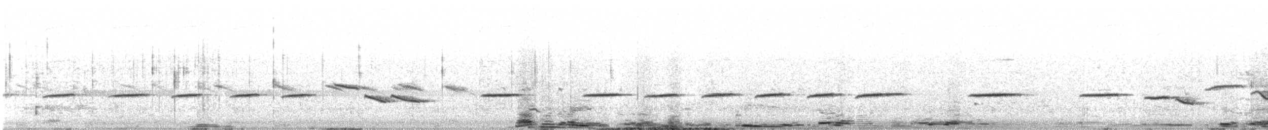 White-bellied Sholakili - ML620029788