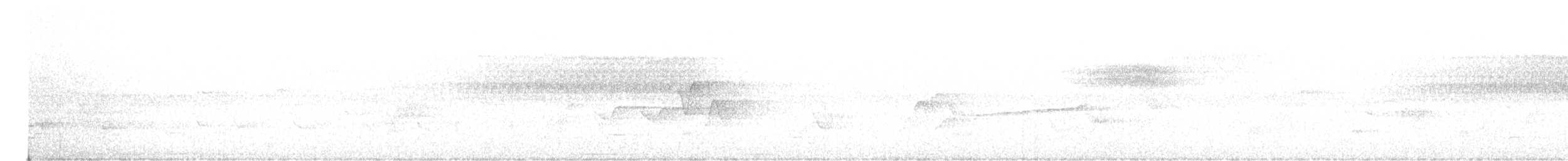 Paruline à capuchon - ML620029796