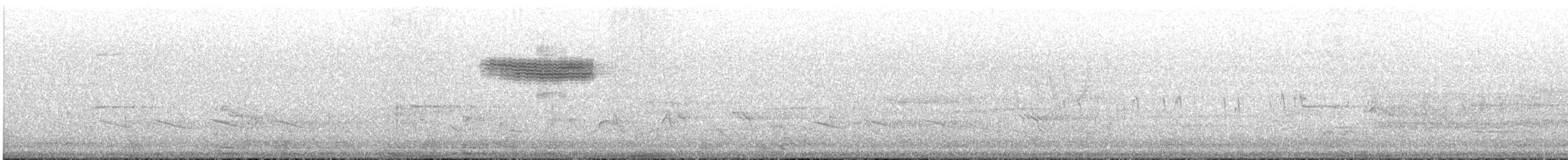 Голубокрылая червеедка - ML620029970