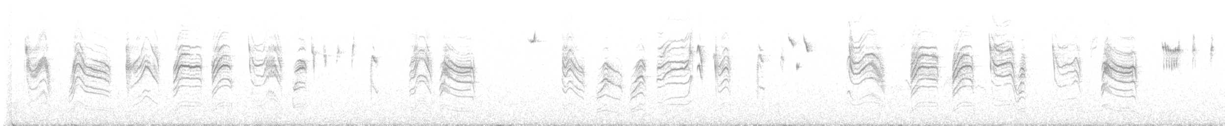 leskot modrošedý [skupina obscura] - ML620030020