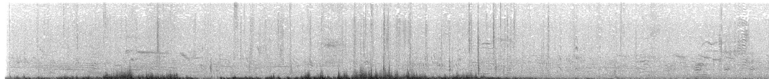 Kara Karınlı Islıkçı Ördek (fulgens) - ML620031099