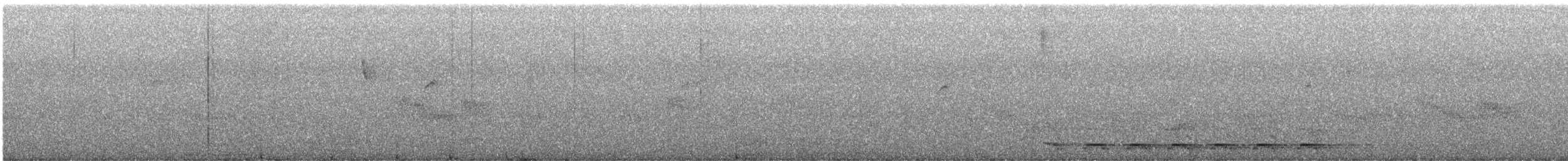 Trogon élégant - ML620031270