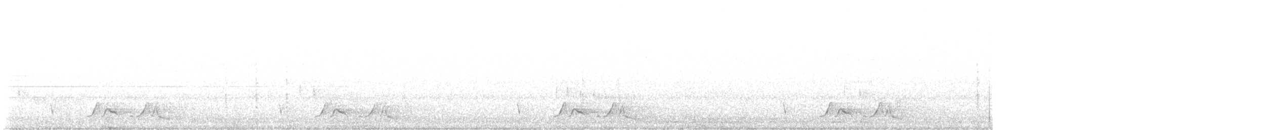 Carolinanachtschwalbe - ML620031311