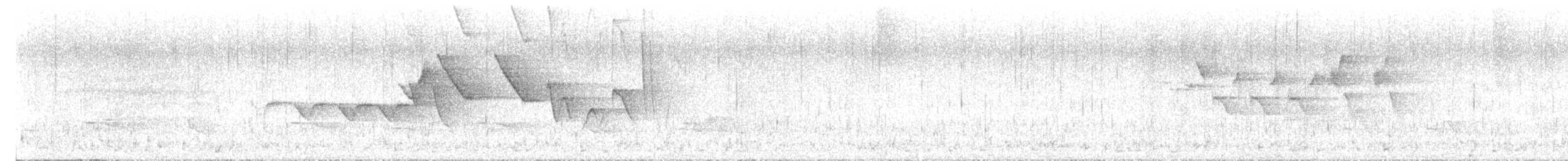 Hooded Warbler - ML620031521