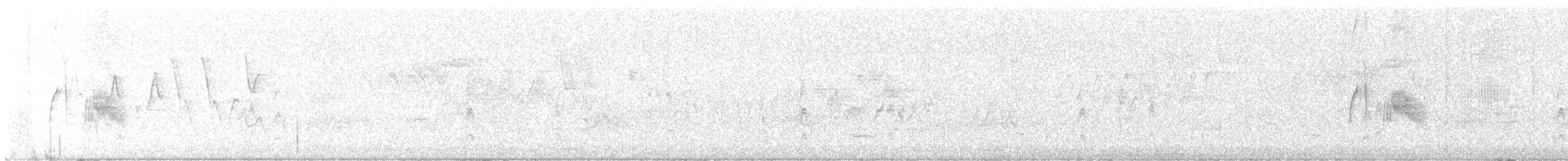 tyranovec vrbový - ML620033235