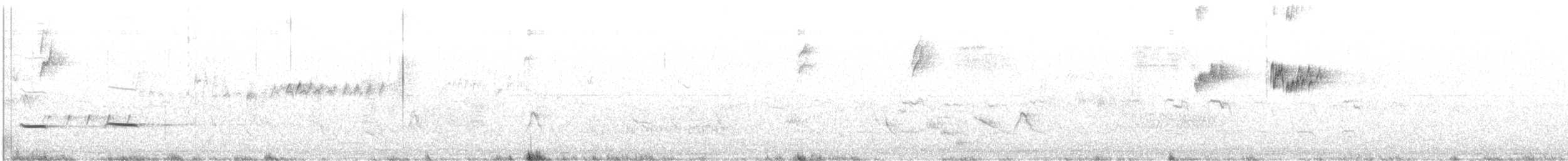 Striped Cuckoo - ML620034272