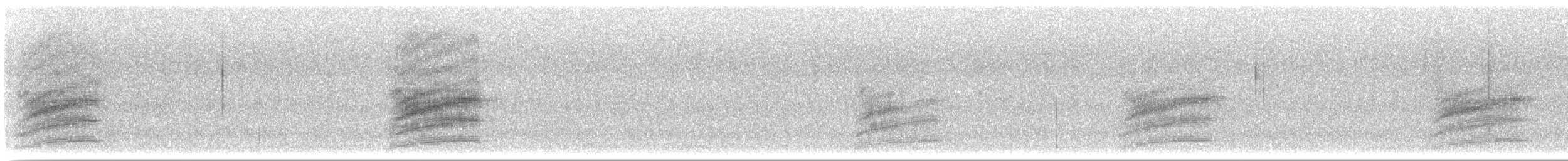 Тауї плямистий - ML620035189