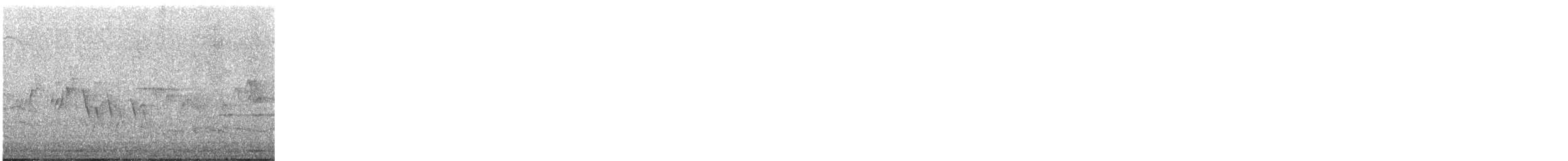 Черногорлая хвойница - ML620035556