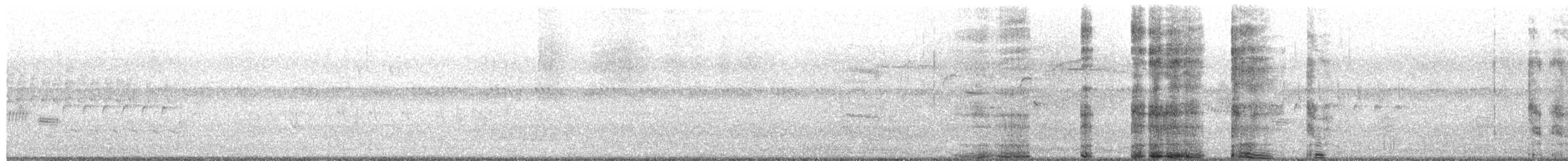 Bewick Çıtkuşu - ML620035661