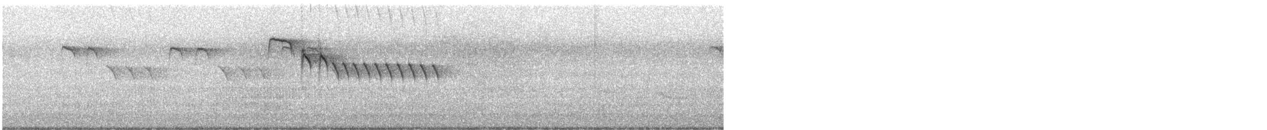 Amilotx urdina - ML620035824