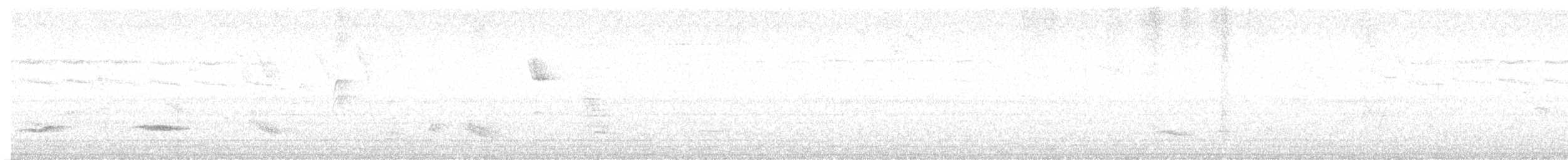 Soluk Göğüslü Ardıç - ML620036630