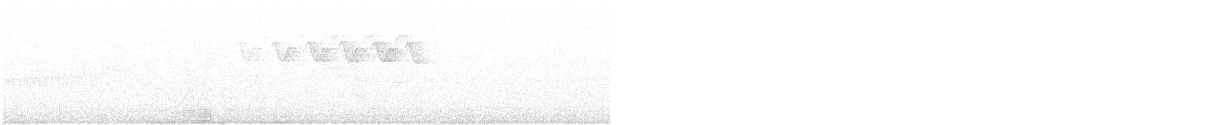 lesňáček černobílý - ML620036826