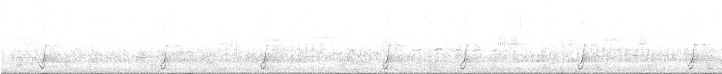 斑胸秧雞 - ML620037077
