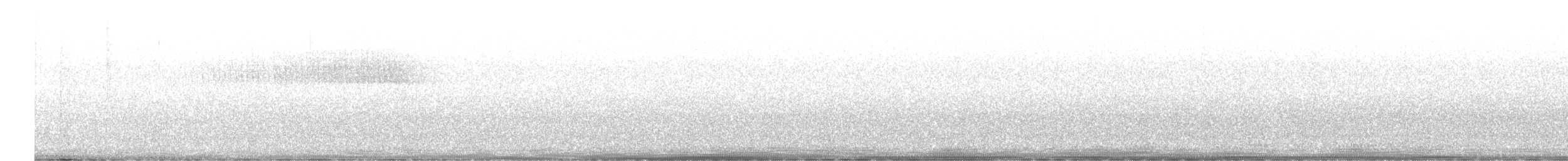 Paruline vermivore - ML620037987