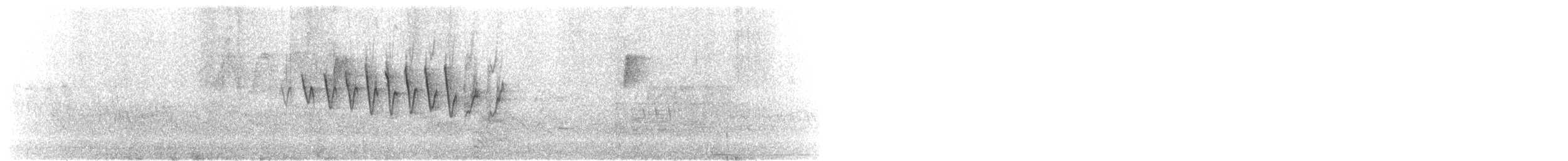 Paruline à calotte noire - ML620038778