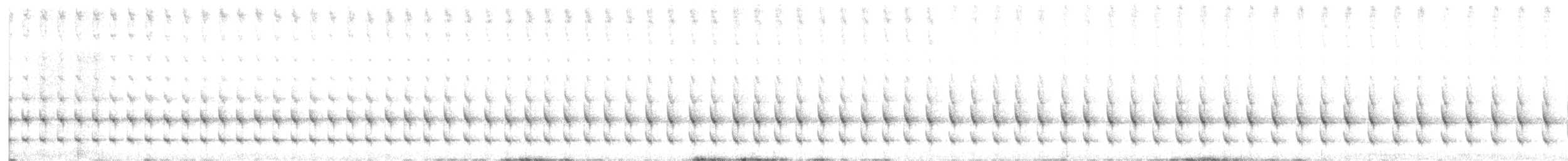 Weißkronentapaculo - ML620038800