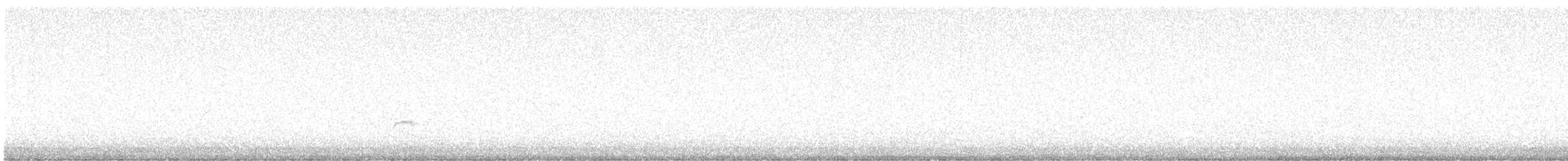 Дрізд-короткодзьоб Cвенсона - ML620038959
