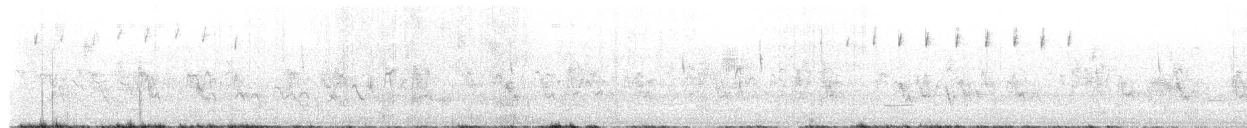 svarthetteparula - ML620043935