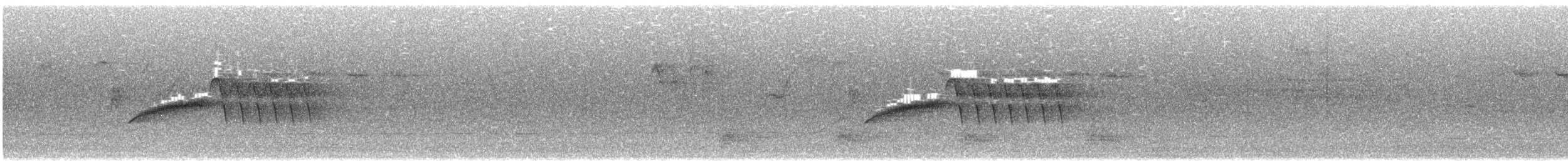 Bewick Çıtkuşu [spilurus grubu] - ML620044605