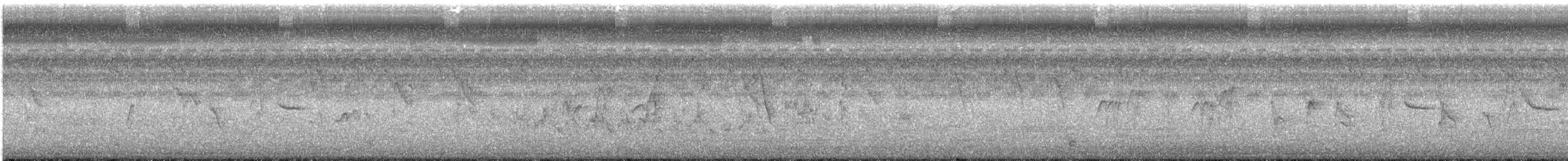 Anteojitos de Swinhoe - ML620044722