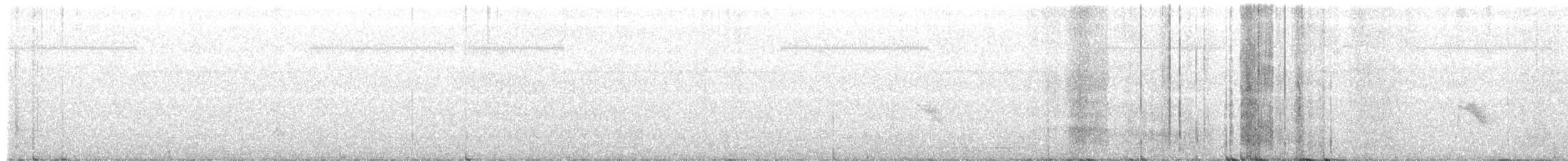Bicknell Bülbül Ardıcı - ML620046679