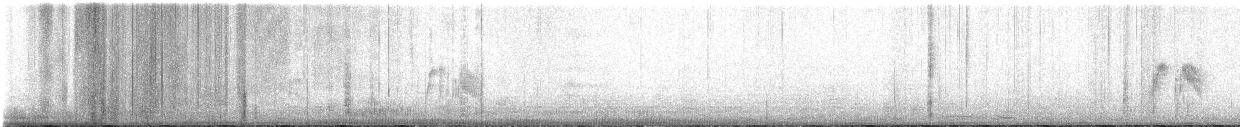 tyranovec vrbový - ML620046852