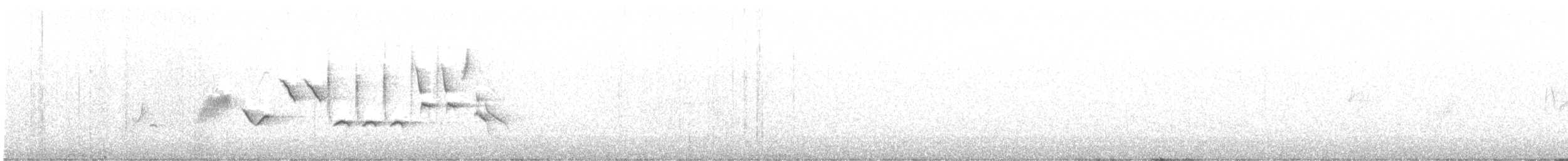 revespurv (megarhyncha gr.) (tykknebbrevespurv) - ML620046969