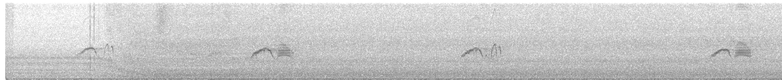 Светлобрюхий фиби - ML620047011