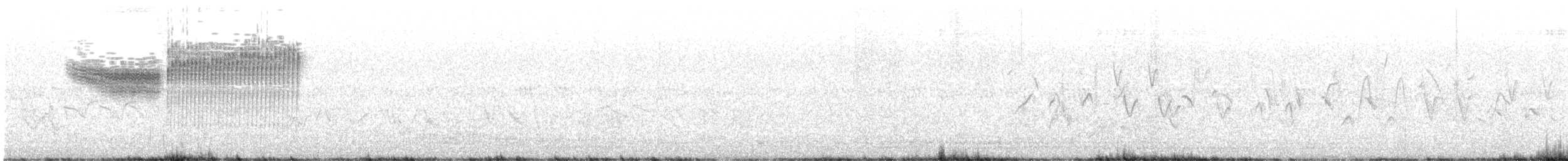 雑種 キンバネアメリカムシクイ ｘ アオバネアメリカムシクイ（F1雑種） - ML620047016