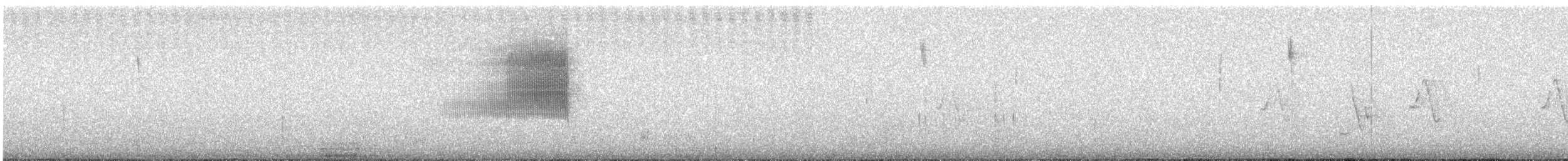 Haplospize gris-de-plomb - ML620047891