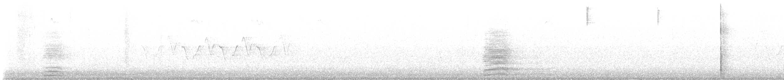 Cuervo Grande - ML620049473