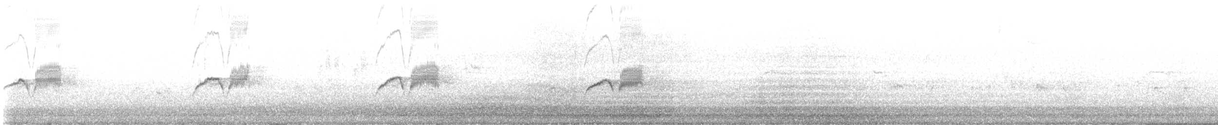 Светлобрюхий фиби - ML620049547