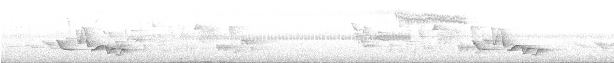 Поплітник плямистий - ML620050774