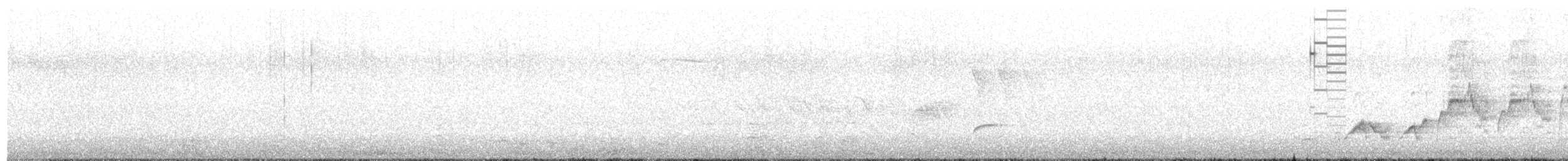 Дрізд-короткодзьоб Cвенсона - ML620050900
