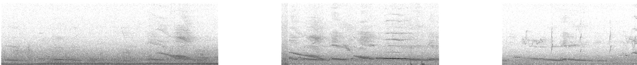 Flötenkrähenstar (dorsalis) - ML620051293