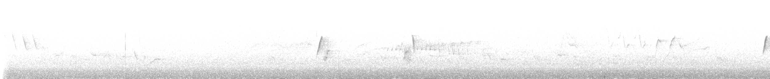 Hammond's Flycatcher - ML620051498