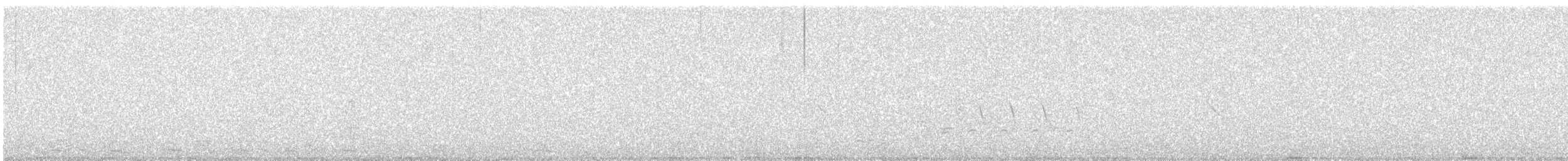 Savannah Sparrow - ML620051731