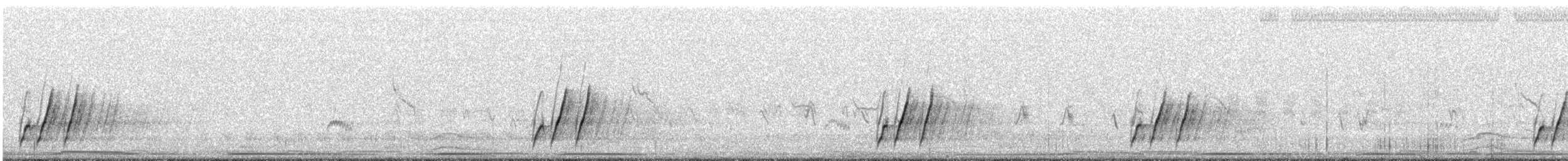 Кривоклювый пересмешник - ML620052141