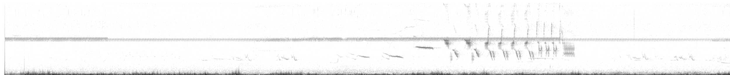 オジロヒメドリ - ML620052165