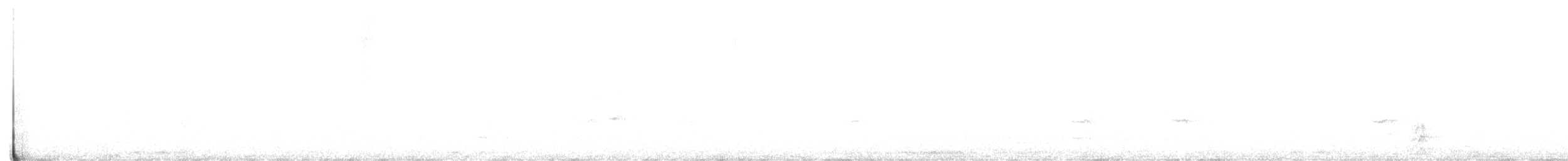 dudek chocholatý - ML620052525