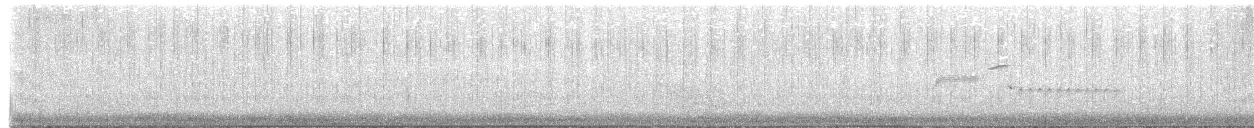 Длиннохвостый крапивник [группа mexicanus] - ML620052766